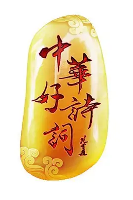 《中华好诗词特别节目《诗词王中王》》全集高清完整版在线观看与剧情解析