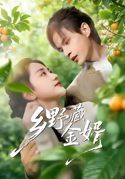 《乡野藏金婿》全集高清完整版在线观看与剧情解析