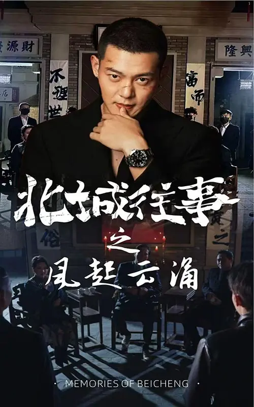 《北城往事之风起云涌》全集高清完整版在线观看与剧情解析