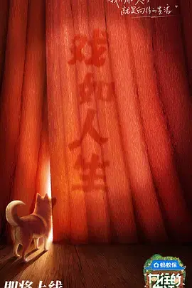 《向往的生活第八季》全集高清完整版在线观看与剧情解析