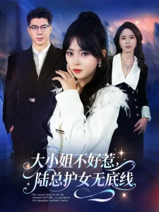 大小姐不好惹陆总护女无底线