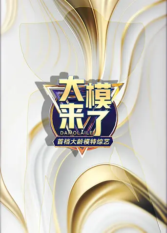 《大模来了》全集高清完整版在线观看与剧情解析