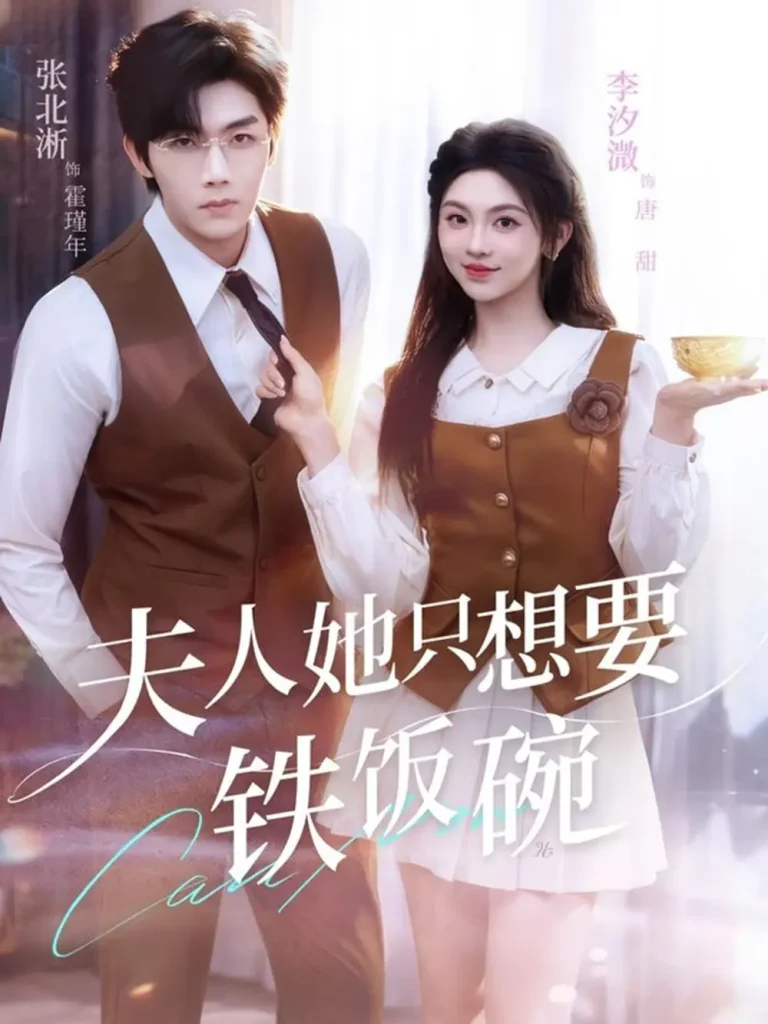 《夫人她只想要铁饭碗》全集高清完整版在线观看与剧情解析