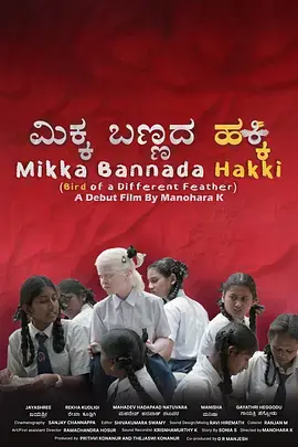 《异羽之鸟》全集高清完整版在线观看与剧情解析