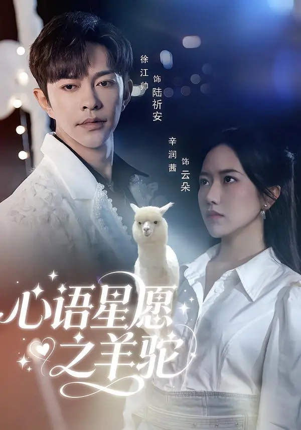 《心语星愿之羊驼》全集高清完整版在线观看与剧情解析