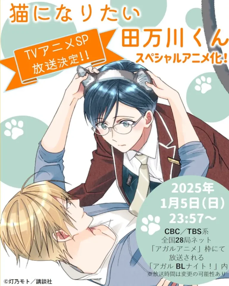 《想变成猫的田万川君》全集高清完整版在线观看与剧情解析