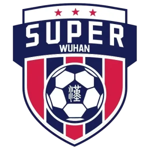 武汉城市足球超级联赛城区组决赛 蔡甸区2.3东湖高新区20251109