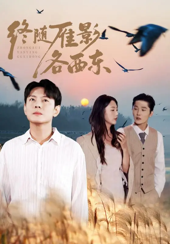 《终随雁影各西东》全集高清完整版在线观看与剧情解析