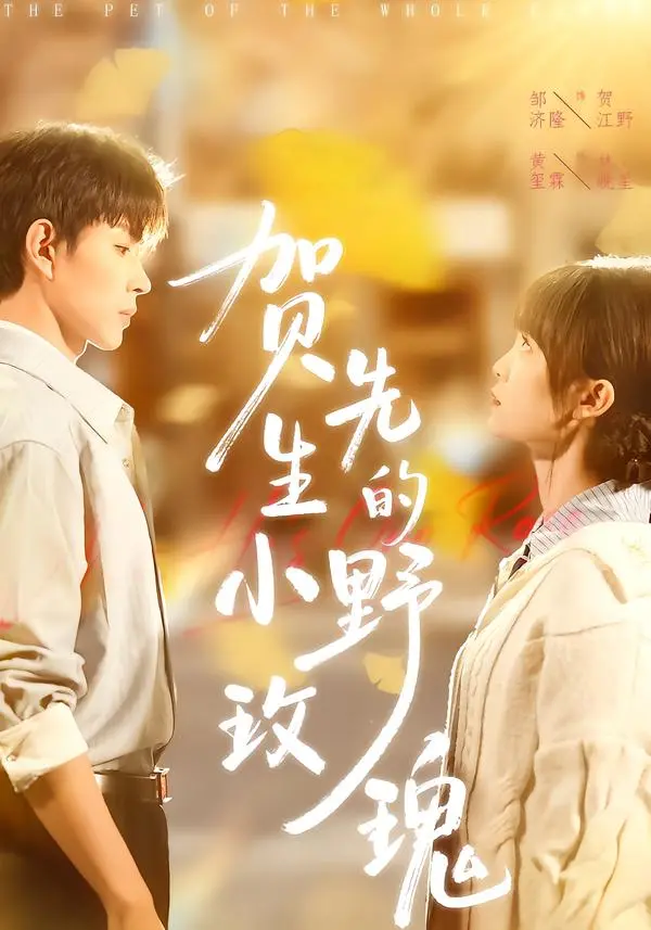 《贺先生的小野玫瑰》全集高清完整版在线观看与剧情解析