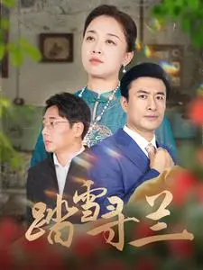 《踏雪寻兰》全集高清完整版在线观看与剧情解析