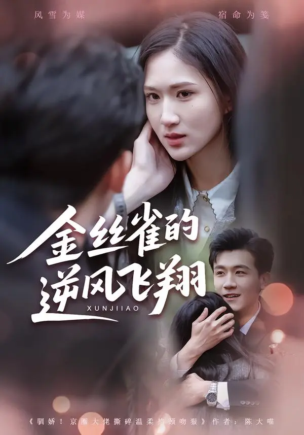 《金丝雀的逆风飞翔》全集高清完整版在线观看与剧情解析