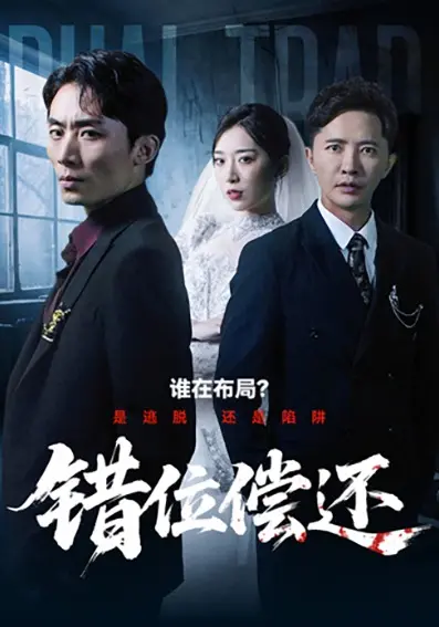 《错位偿还》全集高清完整版在线观看与剧情解析