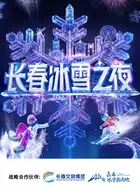 长春冰雪之夜