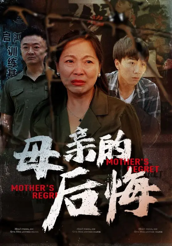 《母亲的后悔》全集高清完整版在线观看与剧情解析