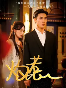 《灼惹》全集高清完整版在线观看与剧情解析