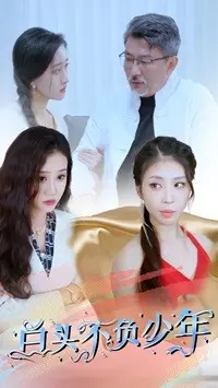 《白头不负少年》全集高清完整版在线观看与剧情解析