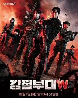 《钢铁部队W》全集高清完整版在线观看与剧情解析