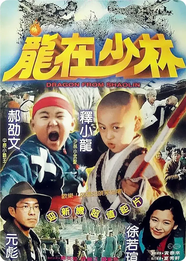 《龙在少林》全集高清完整版在线观看与剧情解析